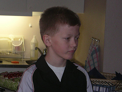 stoffe.jpg (50781 bytes)