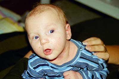 Bild: David