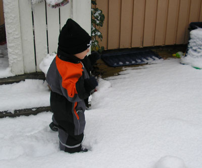 sno4.jpg (23002 bytes)