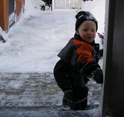 sno7.jpg (34967 bytes)