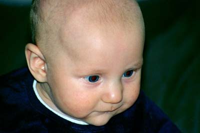 Bild: David